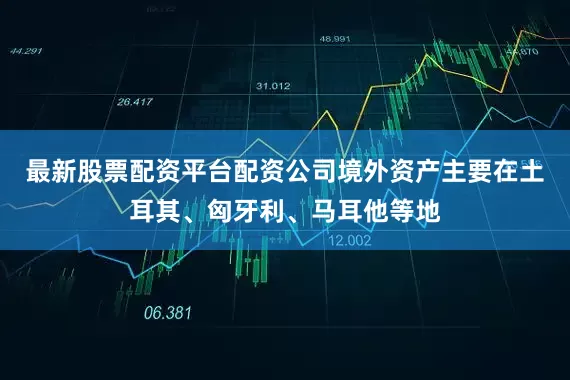 最新股票配资平台配资公司境外资产主要在土耳其、匈牙利、马耳他等地